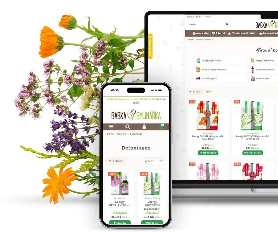 Realgeek.cz reference